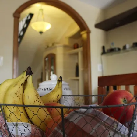 Cosy בית אירוח